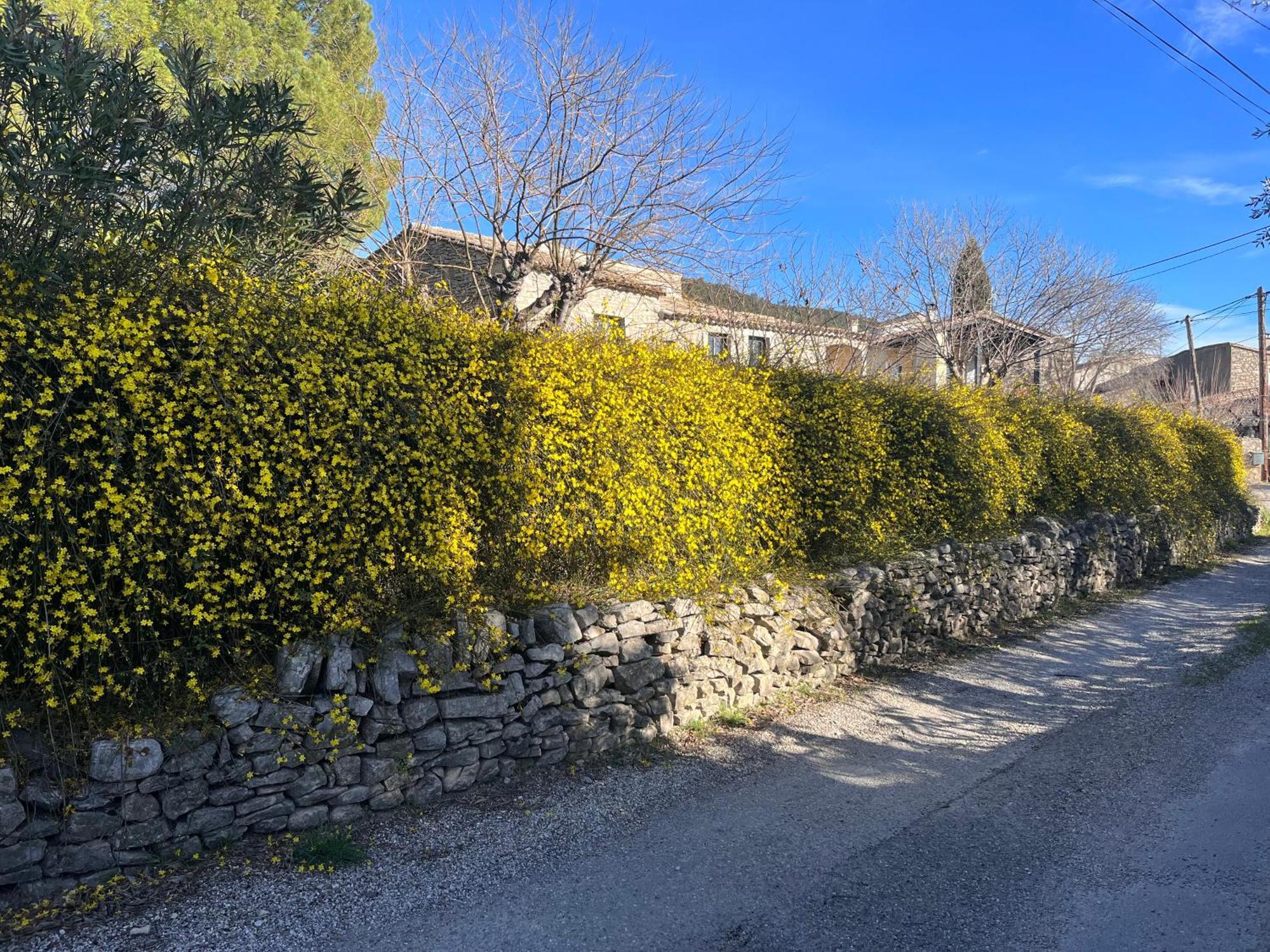 L'Ostal Du Pic Saint Loup Aux Embruscalles Claret Exteriör bild